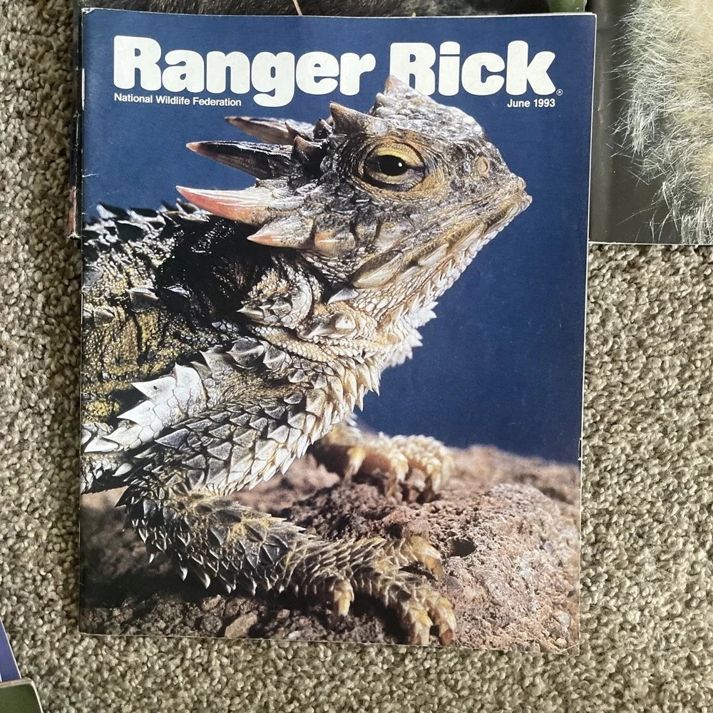 Ranger Rick's Nature‎ Magazine 1993-1994 National Wildlife Kids Vtg Lot Of 11